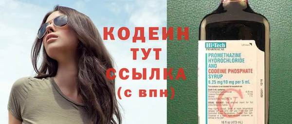 дживик Пестово
