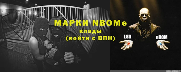 ПСИЛОЦИБИНОВЫЕ ГРИБЫ Пересвет