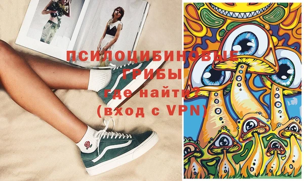 дживик Пестово