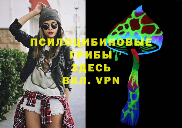 мяу мяу кристалл Переславль-Залесский