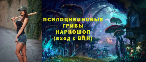 ПСИЛОЦИБИНОВЫЕ ГРИБЫ Пересвет