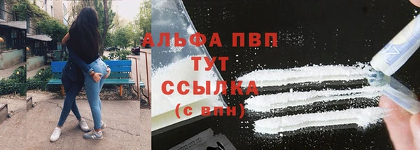дживик Пестово