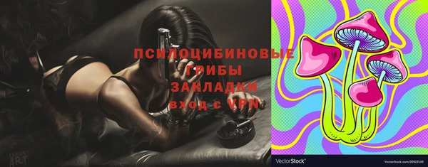 дживик Пестово