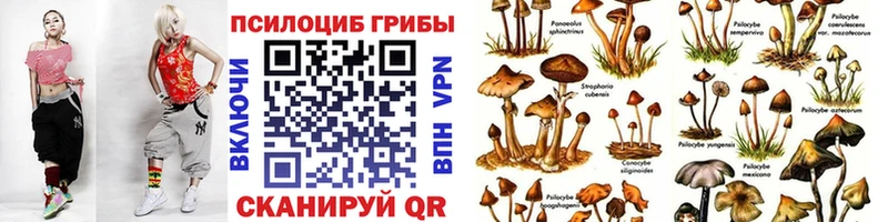 где можно купить наркотик Тетюши Галлюциногенные грибы ЛСД
